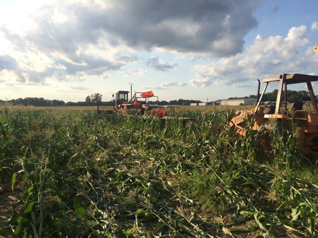 Knapp-Built harvesting equipment working in a South Jersey field