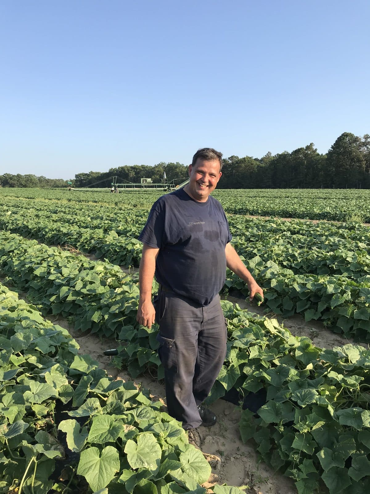 A grower in a South Jersey vegetable field